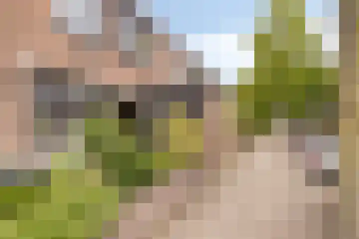 Clervauxlaan 5 Eindhoven thumbnail 5