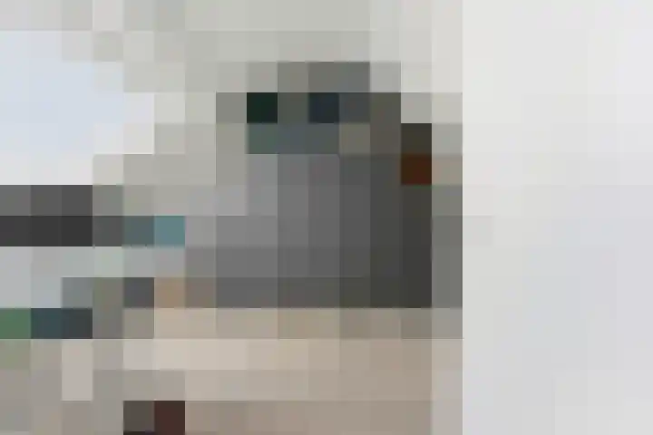 Cleveringahof 1 Rotterdam thumbnail 30
