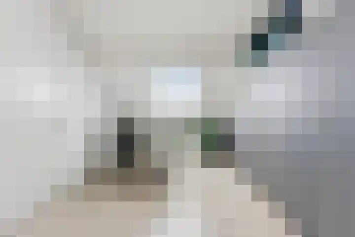 Cleveringahof 1 Rotterdam thumbnail 31