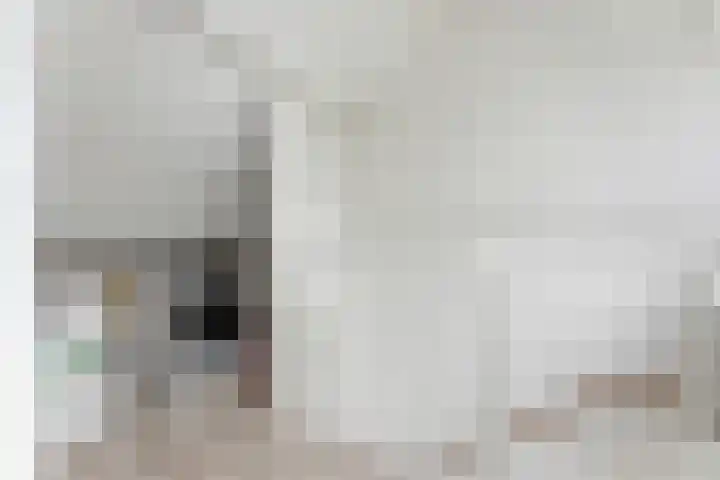 Cleveringahof 1 Rotterdam thumbnail 33