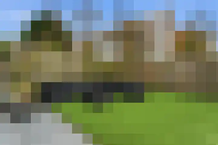Cleveringahof 1 Rotterdam thumbnail 39
