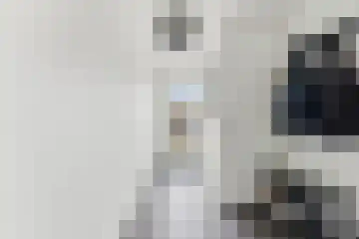 Cleveringahof 1 Rotterdam thumbnail 7