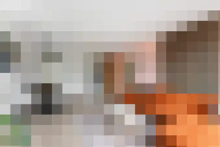 Cleveringahof 27 Rotterdam thumbnail 12