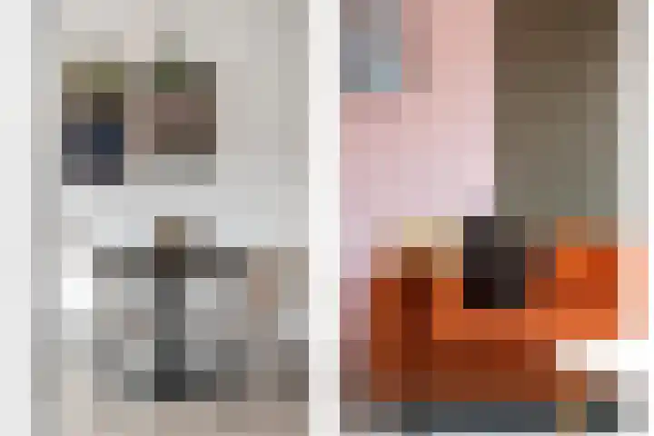 Cleveringahof 27 Rotterdam thumbnail 13
