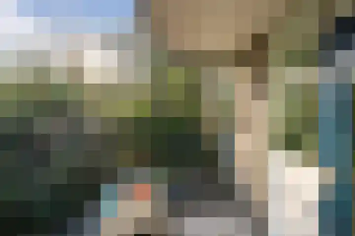 Cleveringahof 27 Rotterdam thumbnail 26