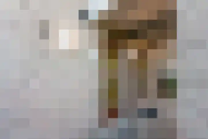Cleveringahof 27 Rotterdam thumbnail 28