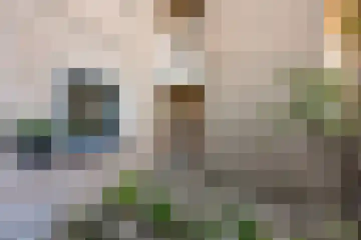 Cleveringahof 27 Rotterdam thumbnail 29