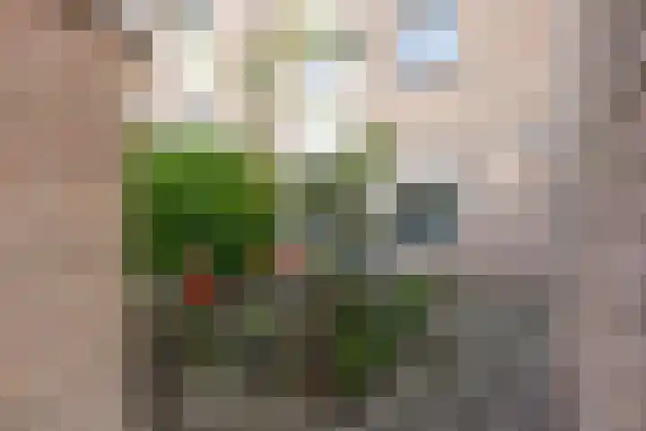 Cleveringahof 27 Rotterdam thumbnail 30
