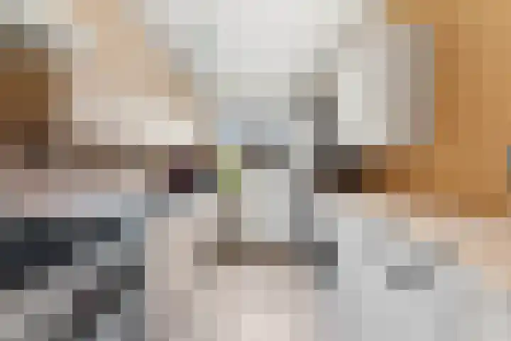 Cleveringahof 27 Rotterdam thumbnail 5