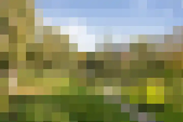 Cleveringahof 27 Rotterdam thumbnail 7