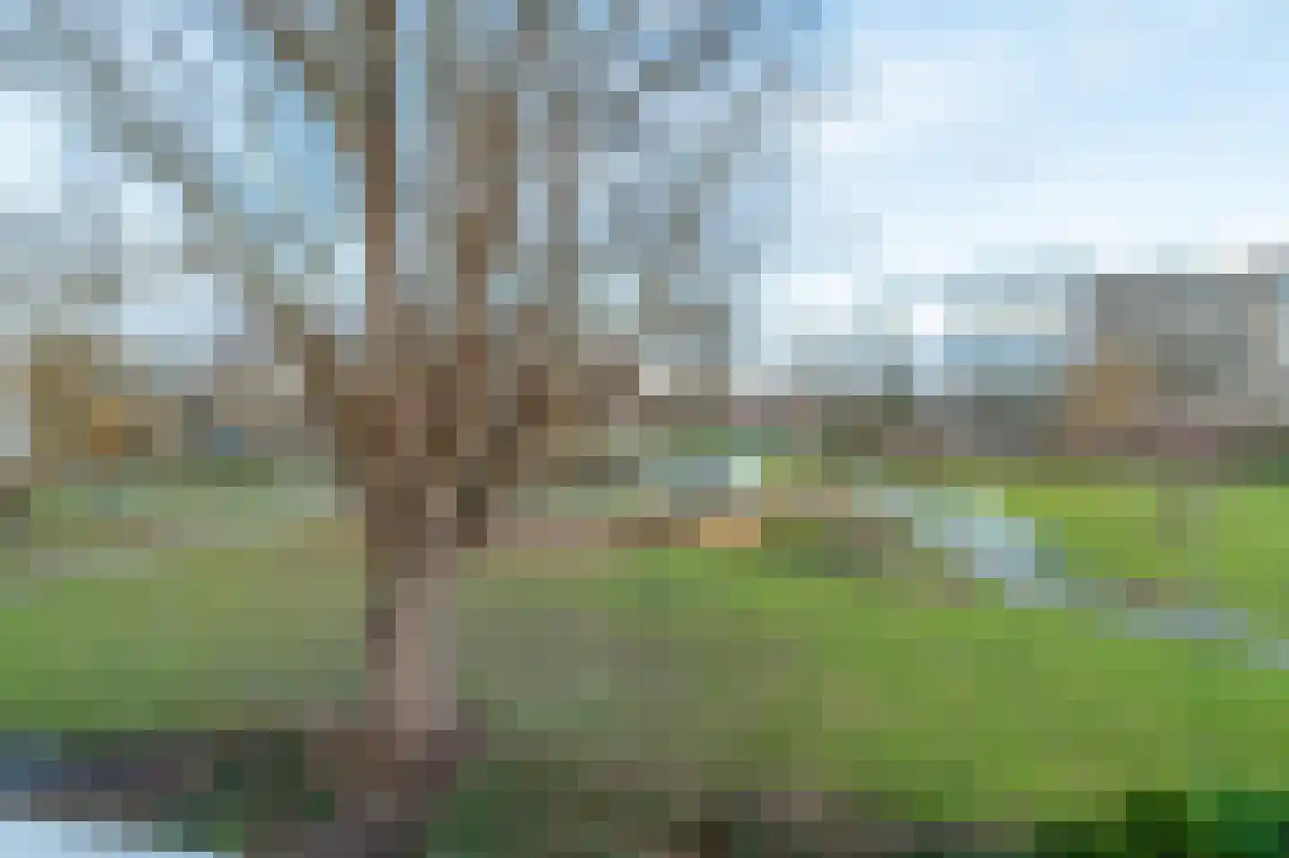 Cleveringahof 47 Rotterdam thumbnail 13