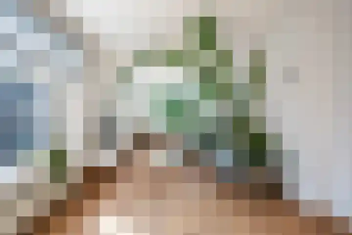 Cleyburchstraat 1 B 01 Rotterdam thumbnail 7