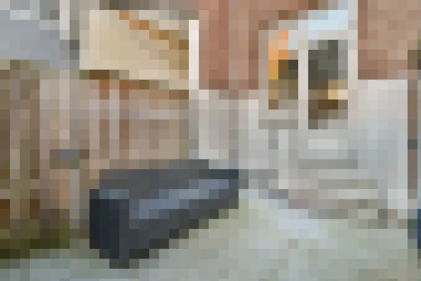 Cleyburchstraat 11 A Rotterdam thumbnail 12
