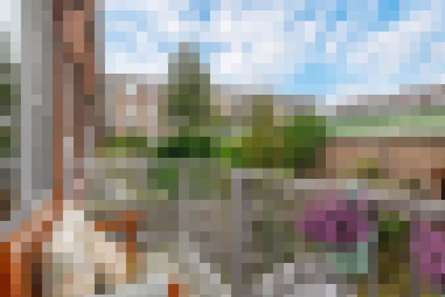 Cleyburchstraat 25 A Rotterdam thumbnail 21