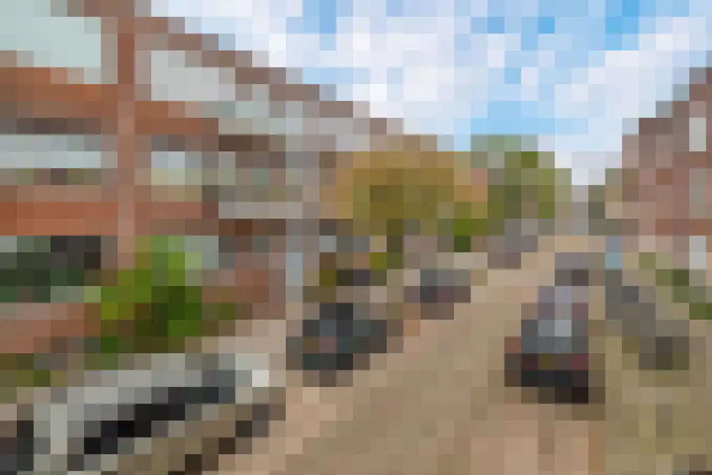 Cleyburchstraat 25 A Rotterdam thumbnail 28