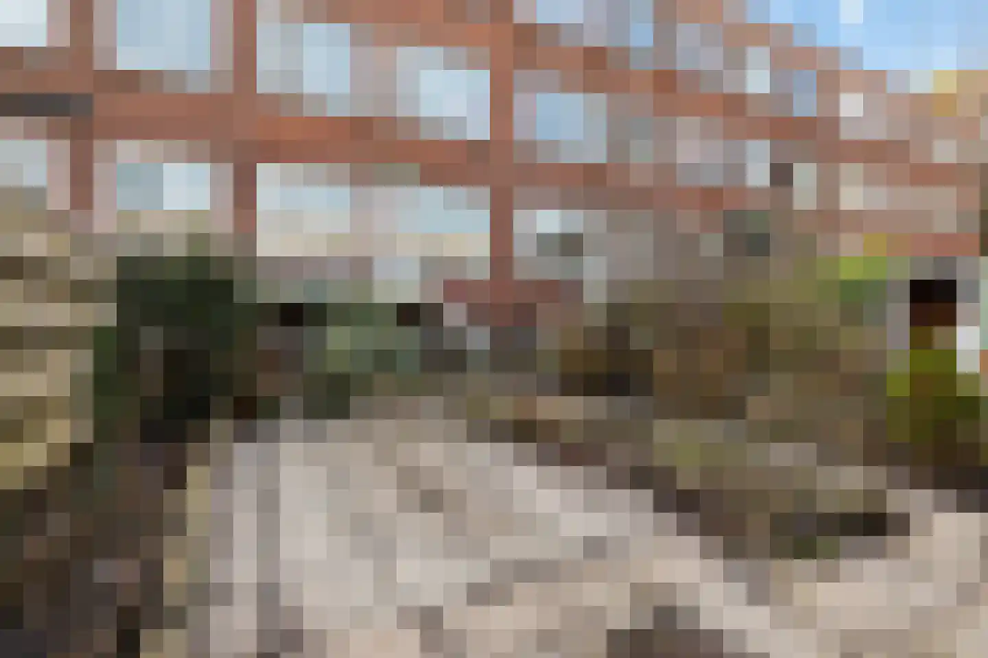 Cleyburchstraat 27 C Rotterdam thumbnail 17