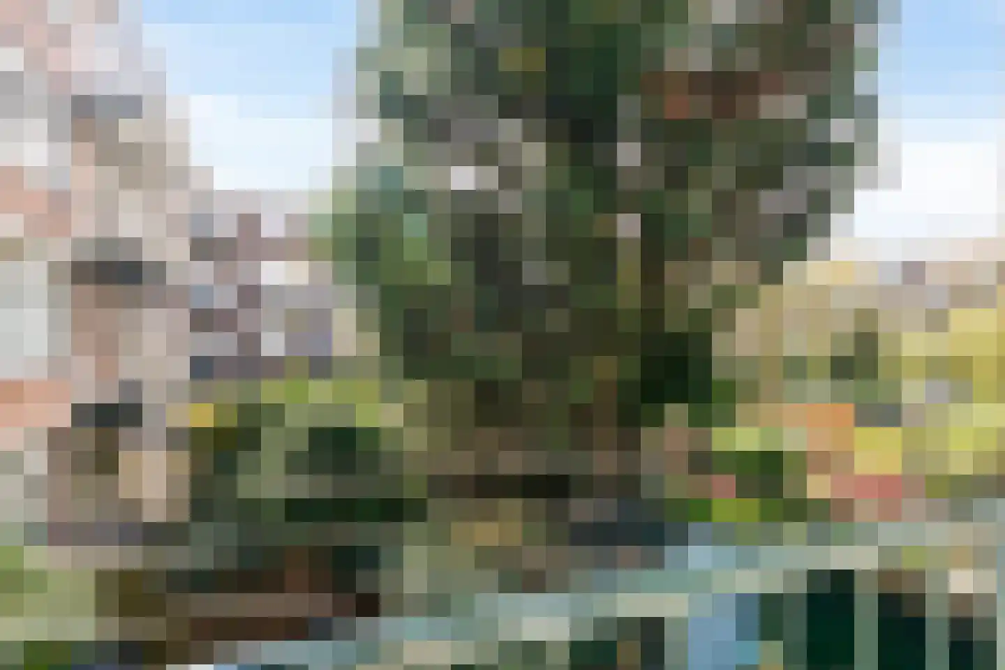Cleyburchstraat 36 B Rotterdam thumbnail 5