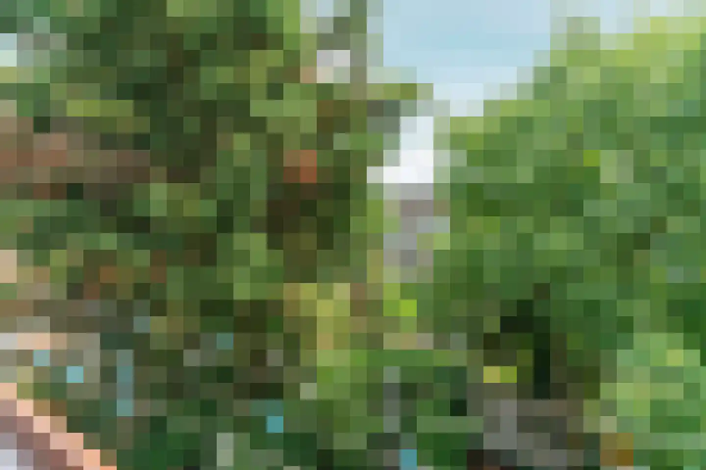 Cleyburchstraat 38 B 02 Rotterdam thumbnail 25