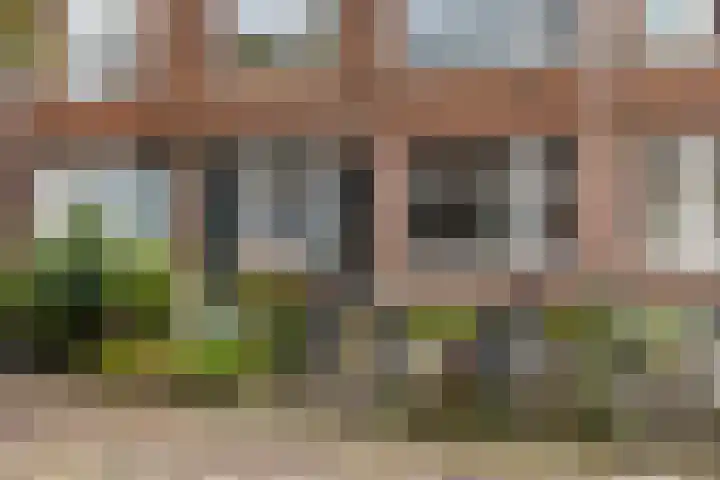 Cleyburchstraat 44 B Rotterdam thumbnail 6