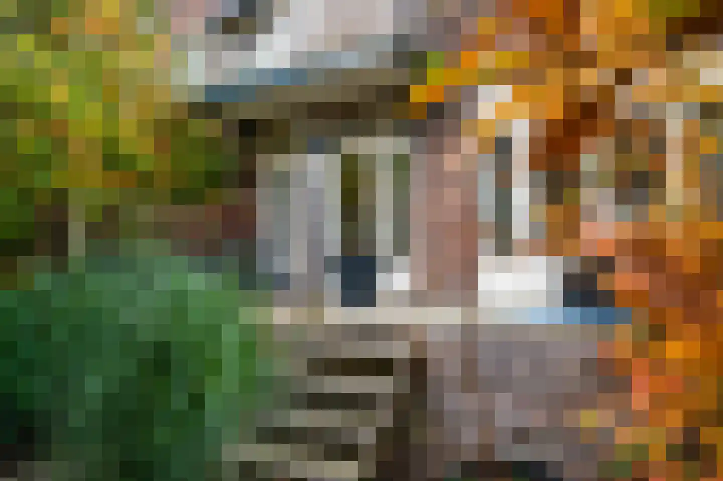 Cleyburchstraat 50 B 01 Rotterdam thumbnail 17