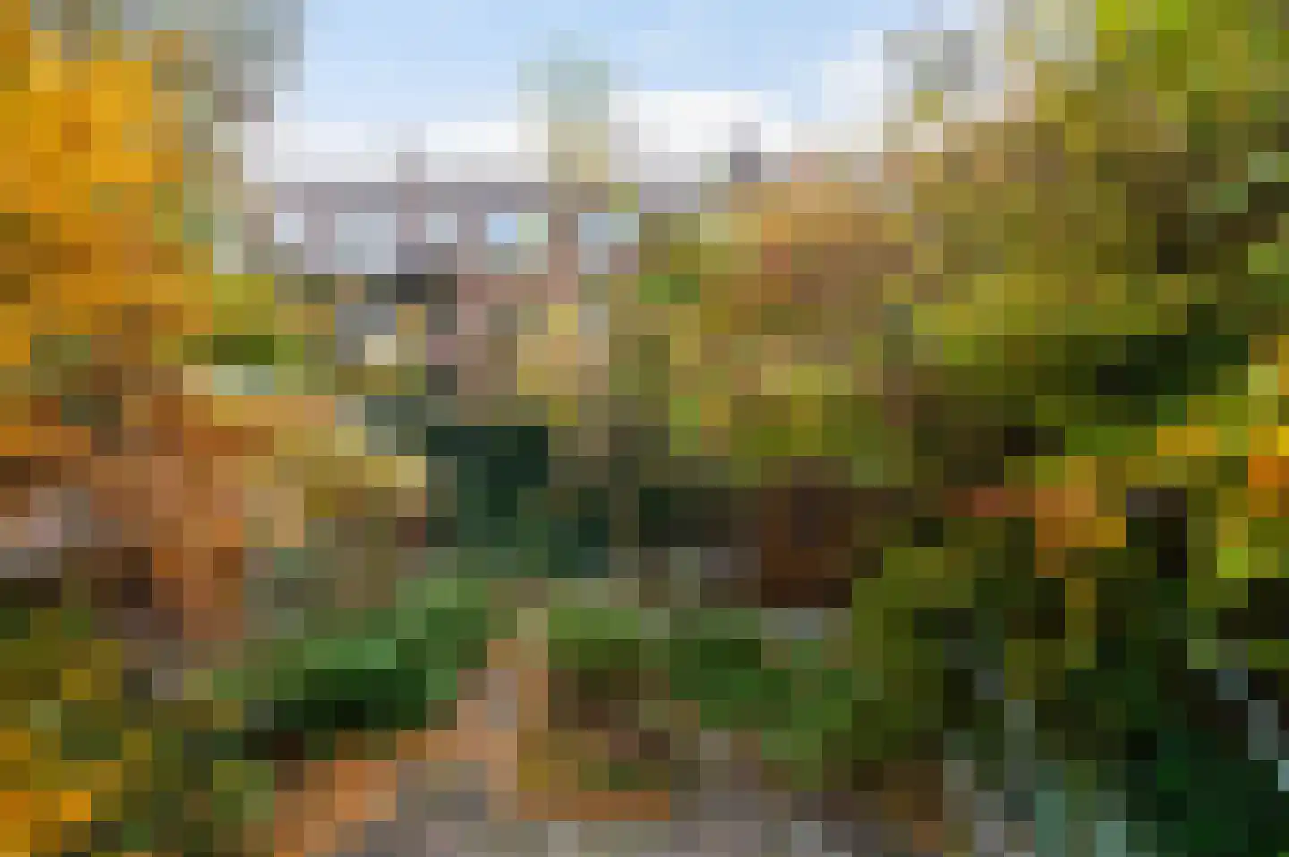 Cleyburchstraat 50 B 01 Rotterdam thumbnail 20