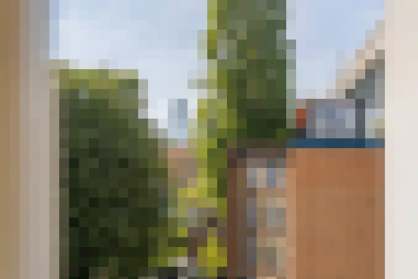 Cleyburchstraat 7 B 02 Rotterdam thumbnail 20