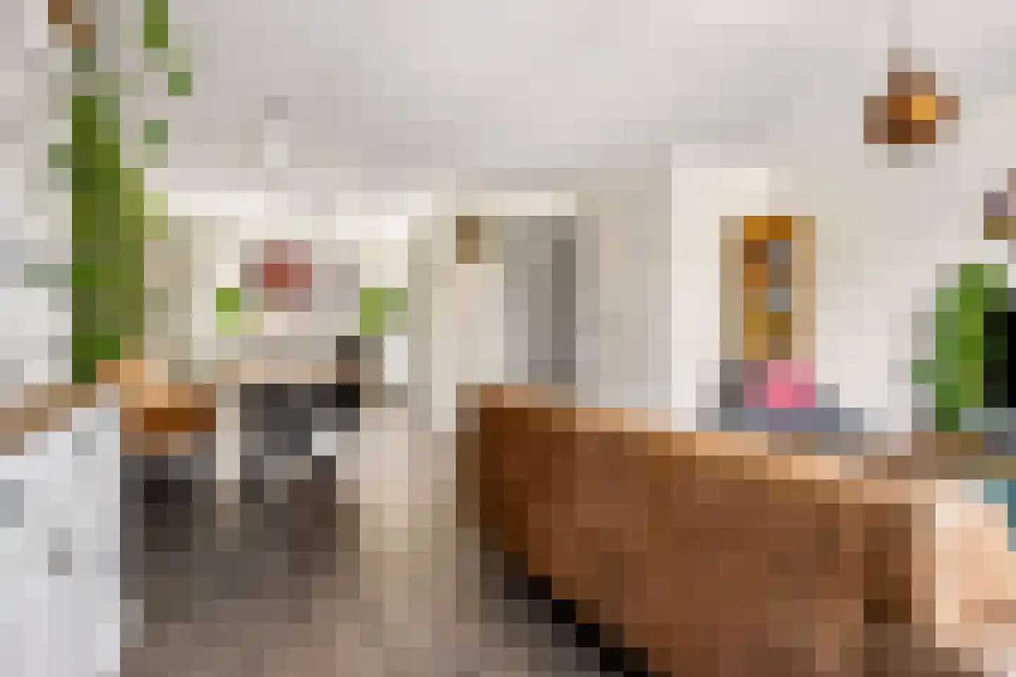 Cleyndertstraat 26 Zwolle thumbnail 12