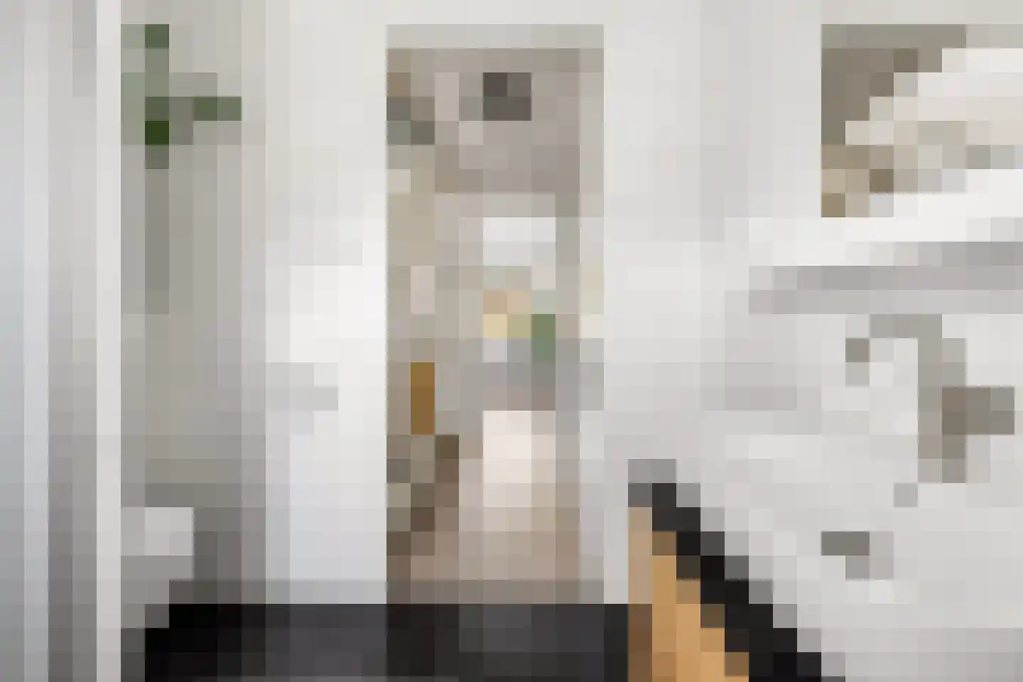 Cleyndertstraat 26 Zwolle thumbnail 27