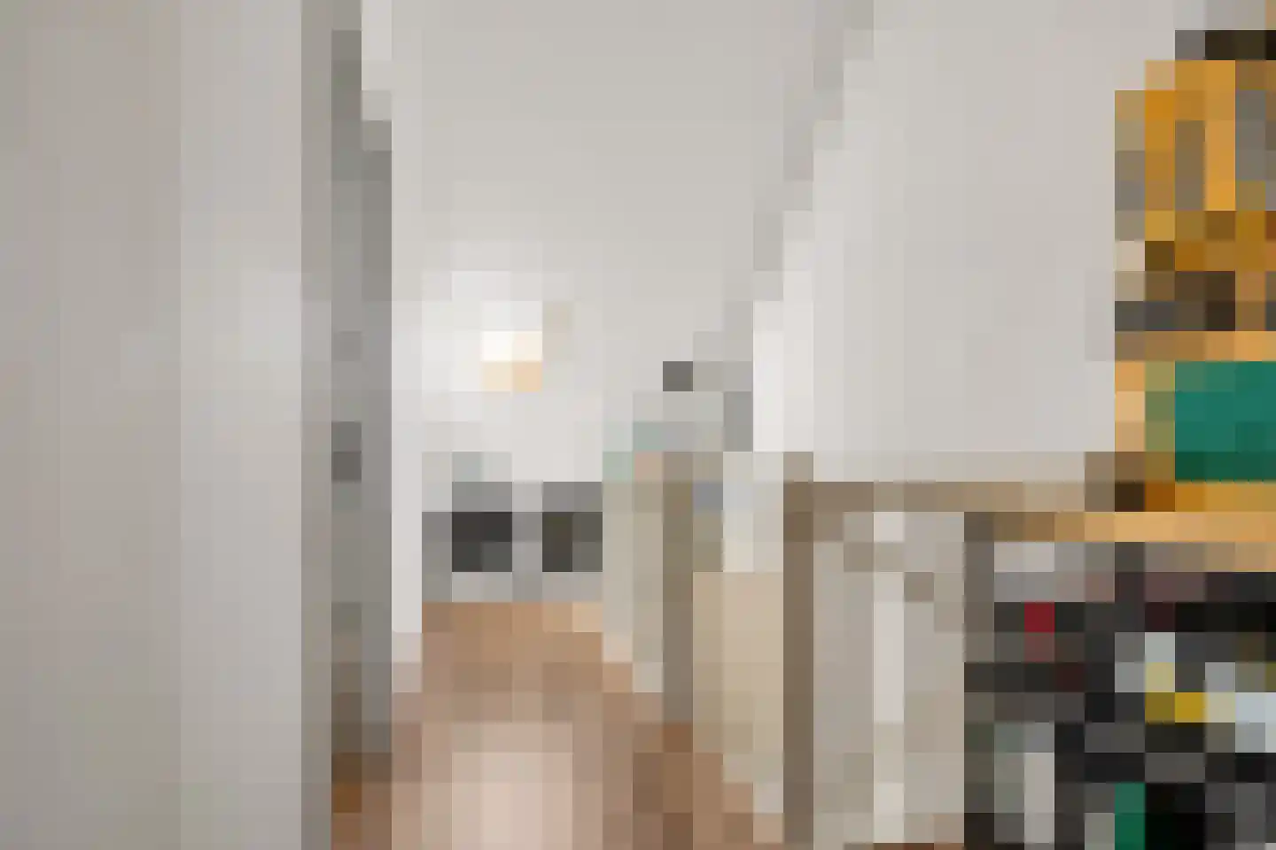 Cleyndertstraat 26 Zwolle thumbnail 32