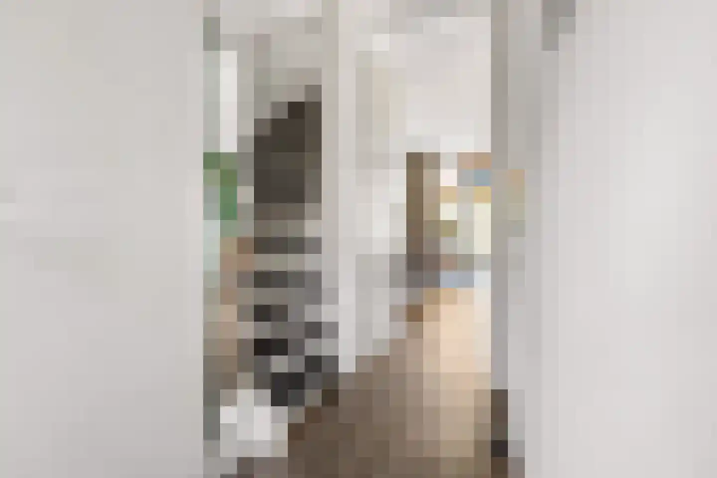 Cleyndertstraat 26 Zwolle thumbnail 4