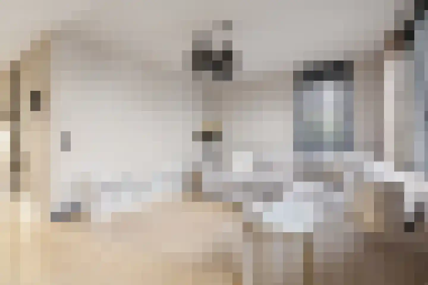 Cleyne Raboesdreef 22 Blaricum thumbnail 5
