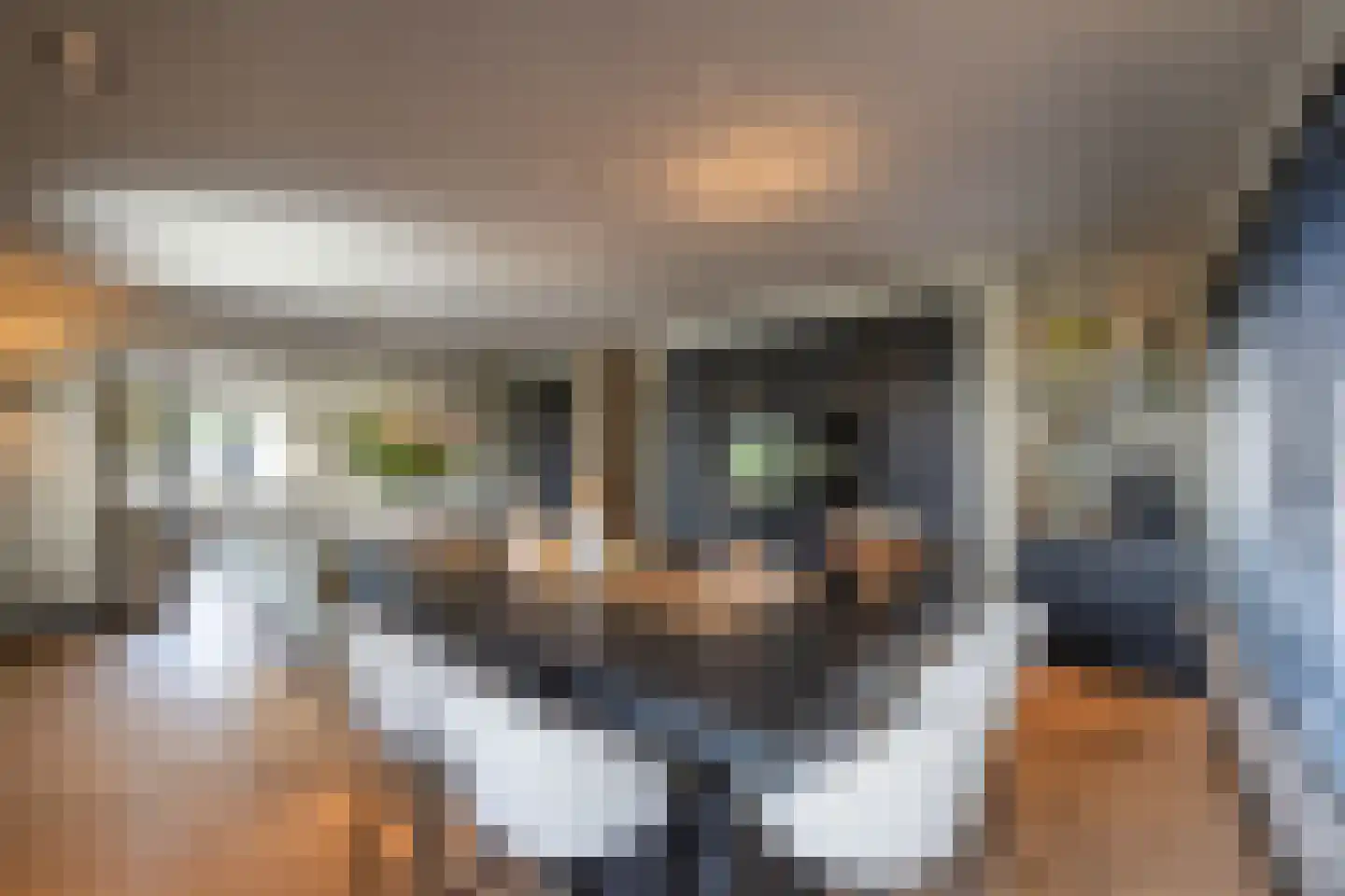 Cleyne Raboesdreef 42 Blaricum thumbnail 10