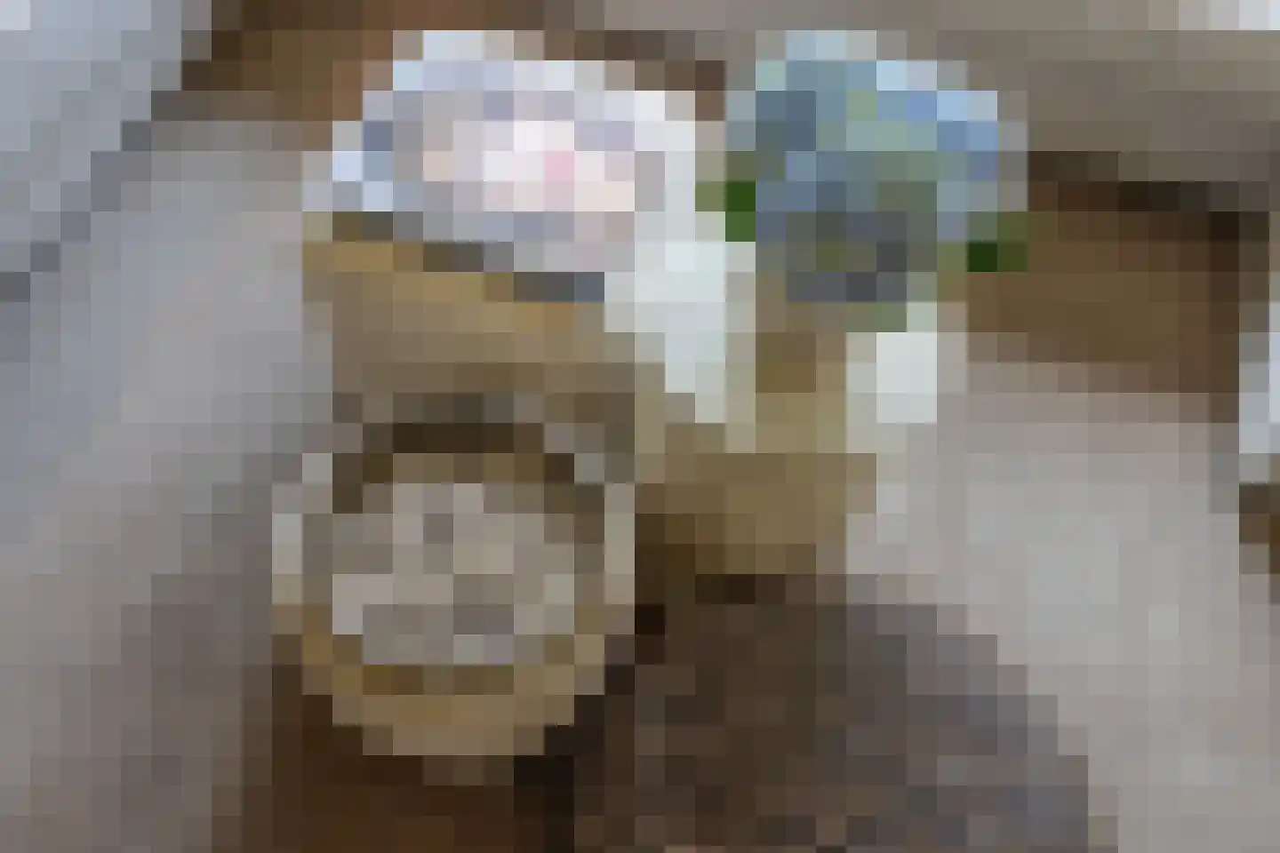 Cleyne Raboesdreef 42 Blaricum thumbnail 21