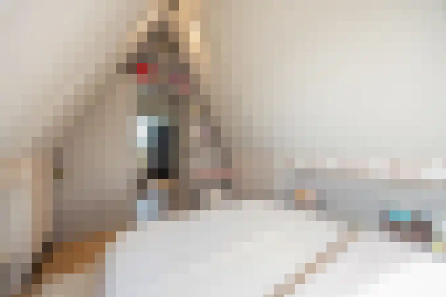 Cleyne Raboesdreef 42 Blaricum thumbnail 39