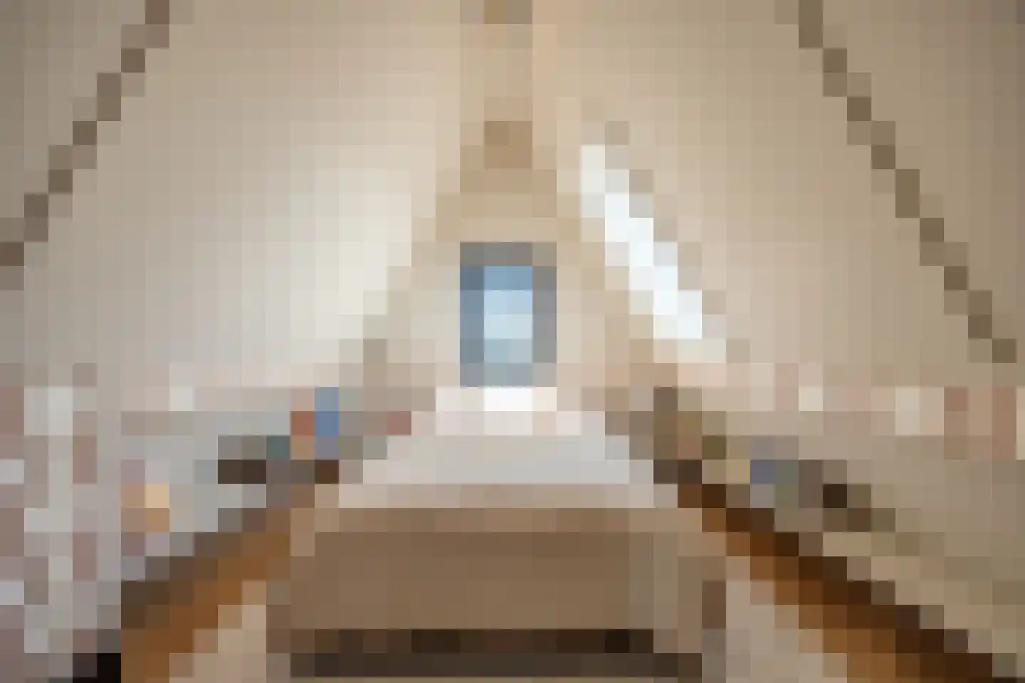 Cleyne Raboesdreef 42 Blaricum thumbnail 45