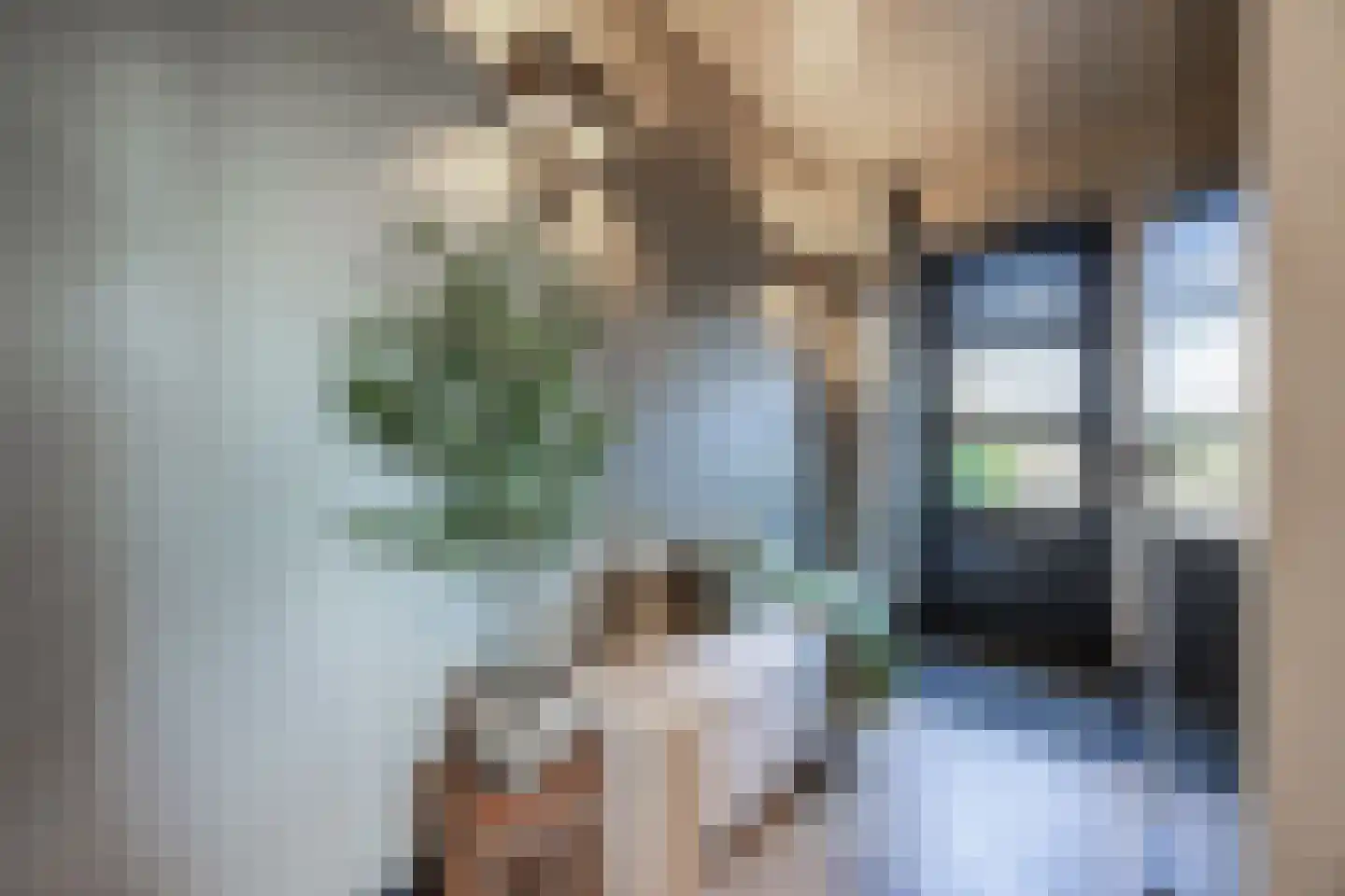 Cleyne Raboesdreef 42 Blaricum thumbnail 6