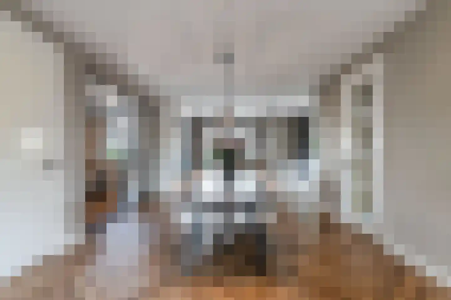 Cleyne Raboesdreef 44 Blaricum thumbnail 13