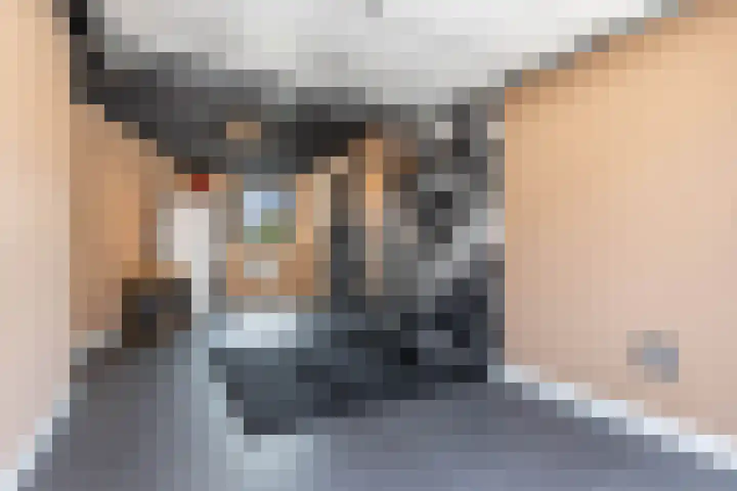 Cleyne Raboesdreef 44 Blaricum thumbnail 30