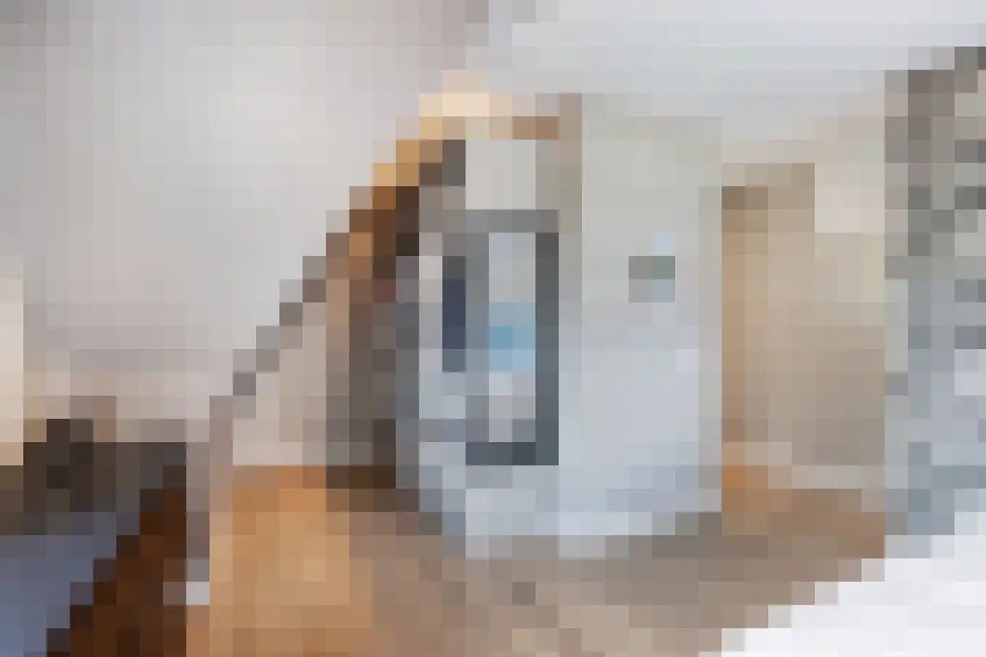 Cleyne Raboesdreef 44 Blaricum thumbnail 37
