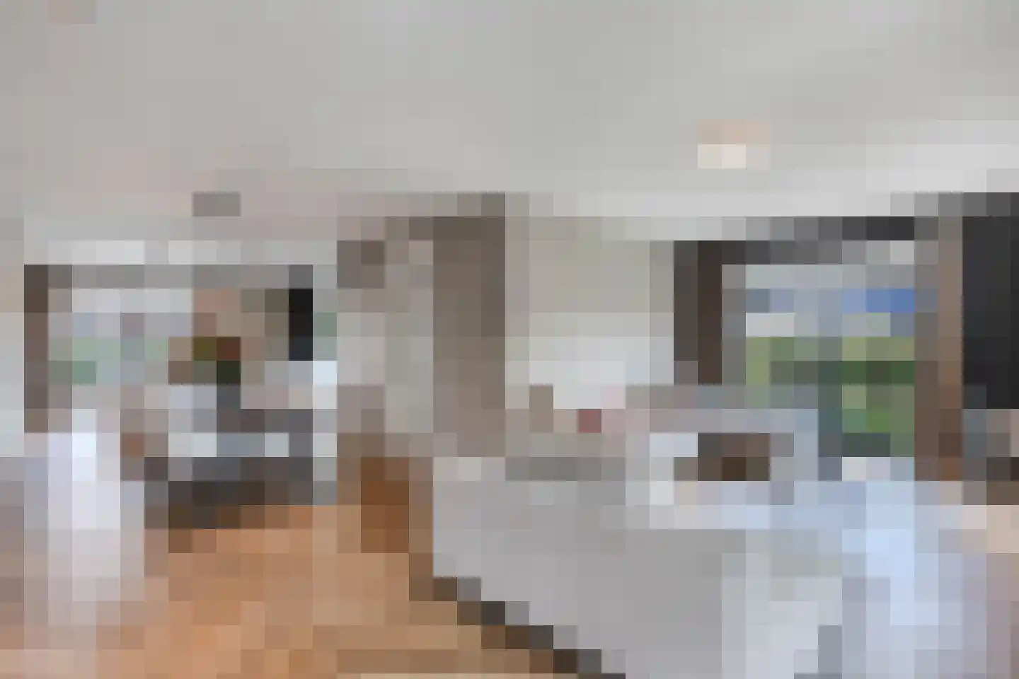Cleyne Raboesdreef 44 Blaricum thumbnail 4
