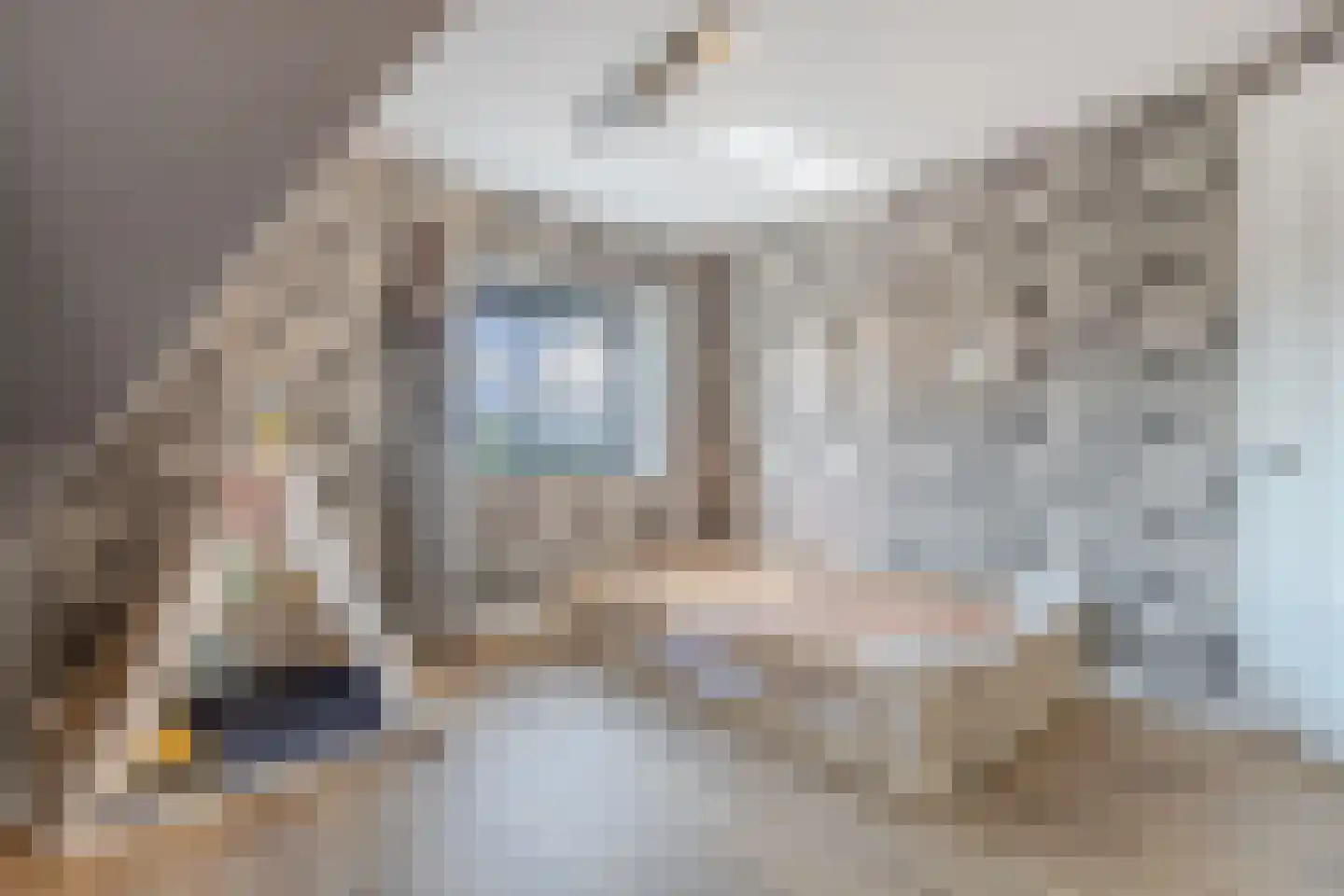 Cleyne Raboesdreef 44 Blaricum thumbnail 44
