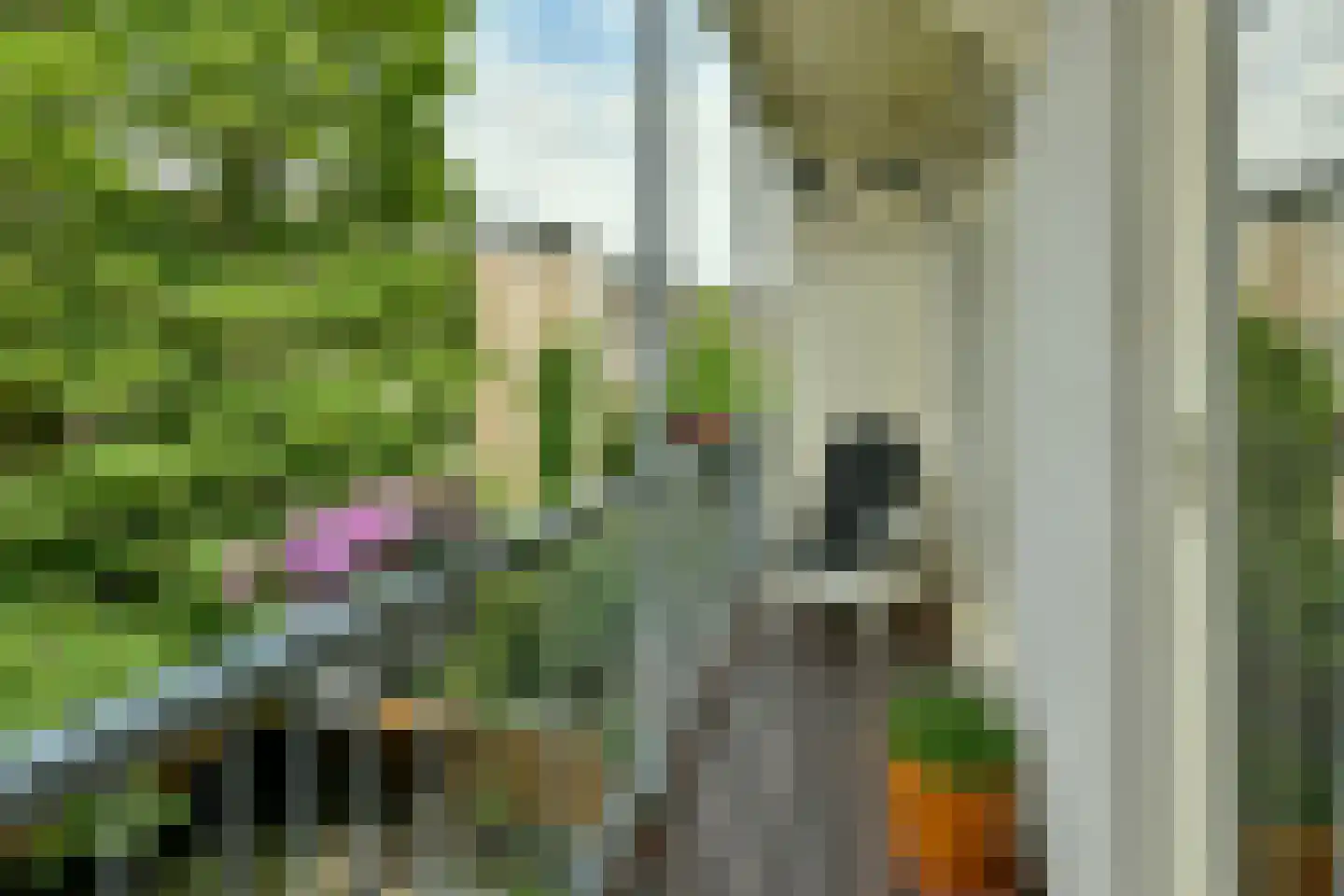 Cliffordstraat 20 3 Amsterdam thumbnail 14