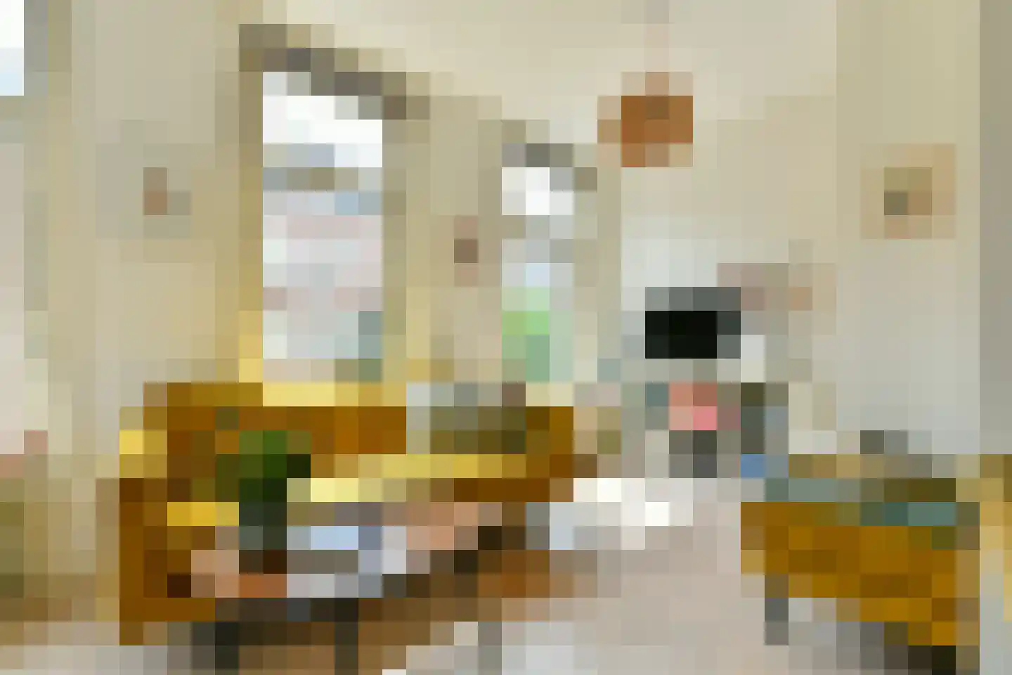 Cliffordstraat 20 3 Amsterdam thumbnail 5