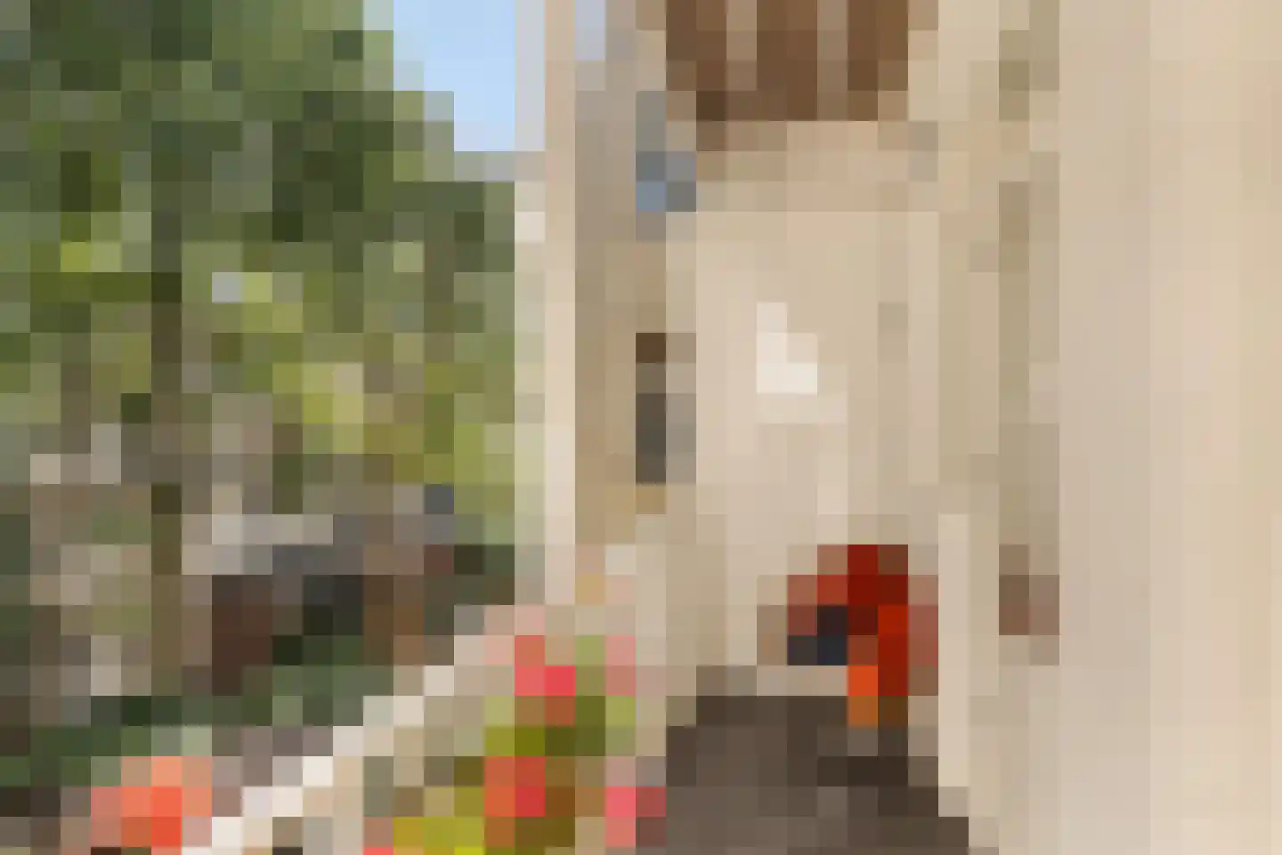 Cliffordstraat 5 2 Amsterdam thumbnail 20