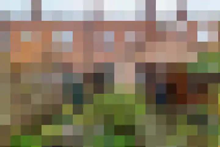 Clijverstraat 41 Vlissingen thumbnail 19