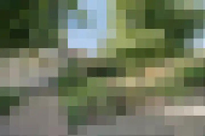 Clinckenburgh 27 Oegstgeest thumbnail 10