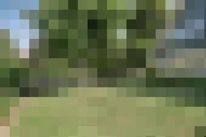 Clinckenburgh 27 Oegstgeest thumbnail 11