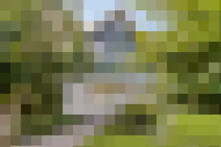 Clinckenburgh 27 Oegstgeest thumbnail 12