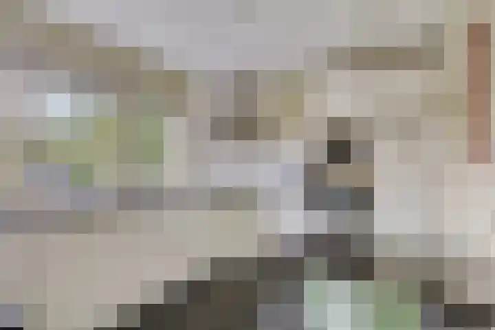 Clinckenburgh 27 Oegstgeest thumbnail 24