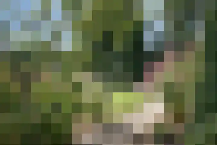 Clinckenburgh 27 Oegstgeest thumbnail 29